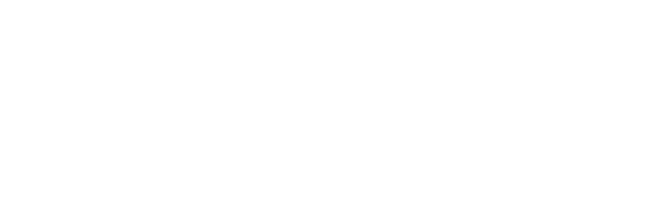 FORZ - White Logo Small