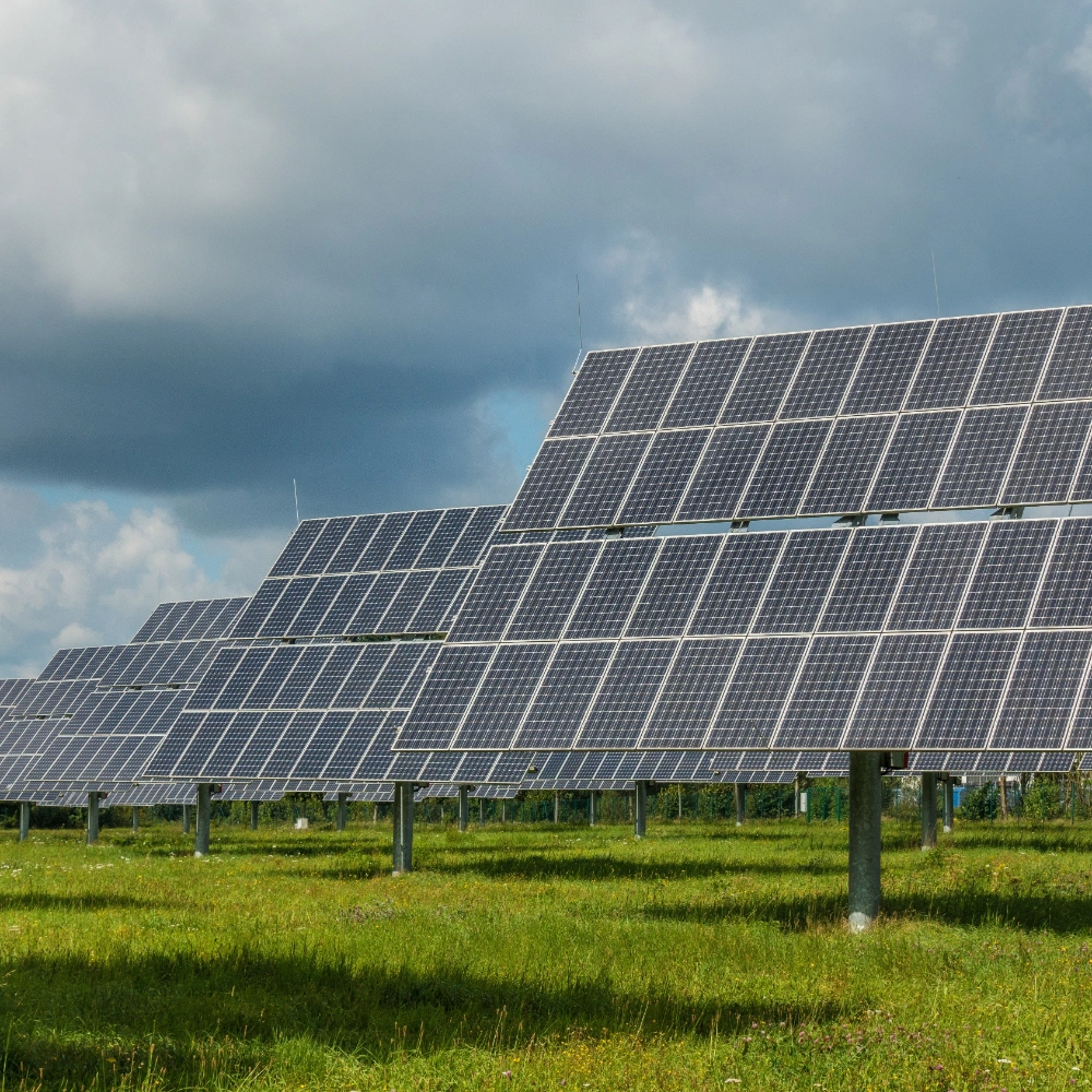 Renewable Energy