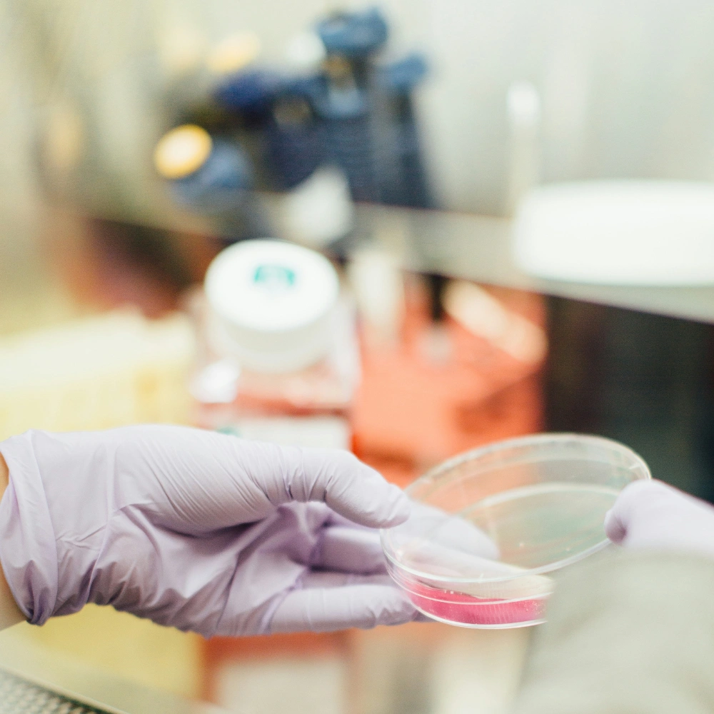 pharmaceutical pharmaceutical
